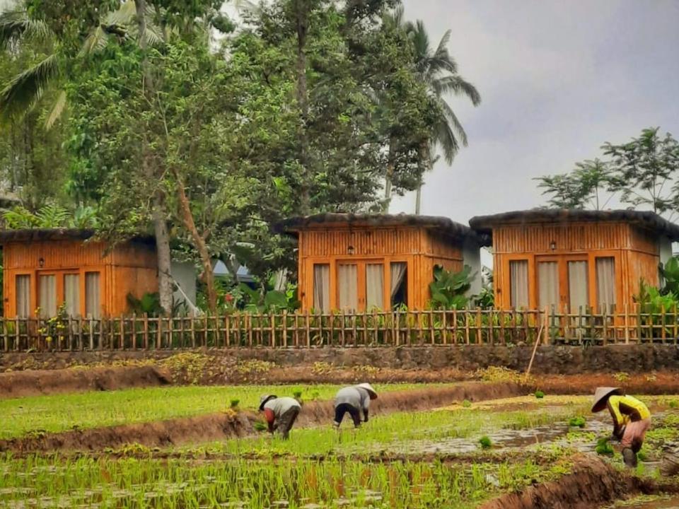 Hotel Sawah Ijen Licin Exterior foto